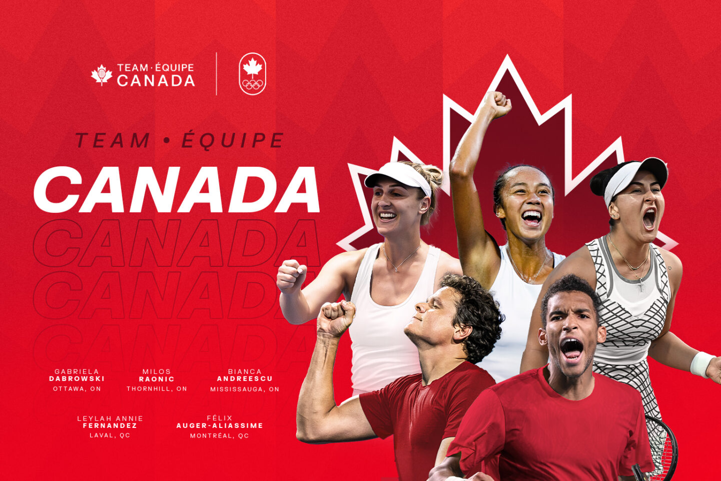 Team Canada Paris 2024 web article image